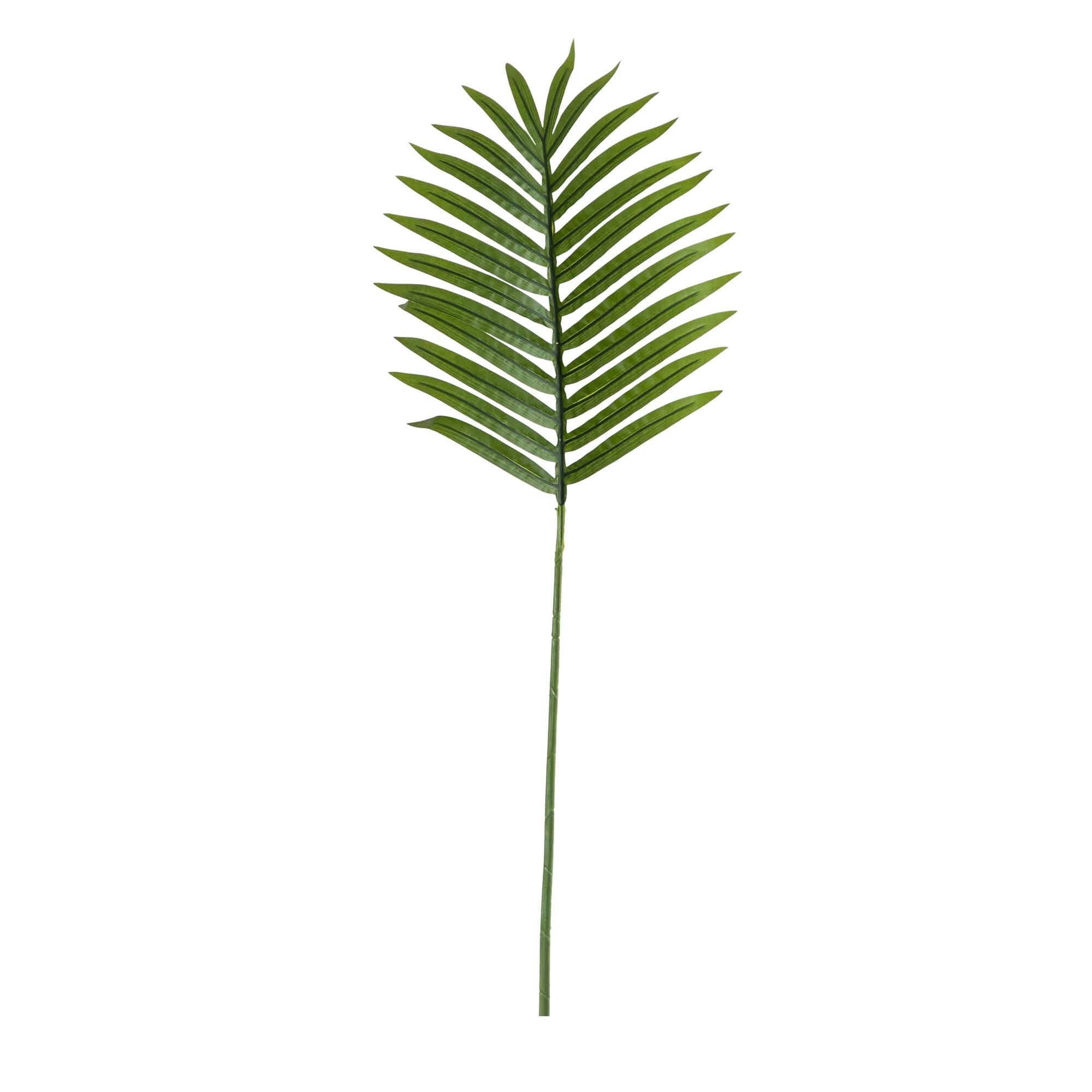 33" Green Palm Frond Stems, 3ct.